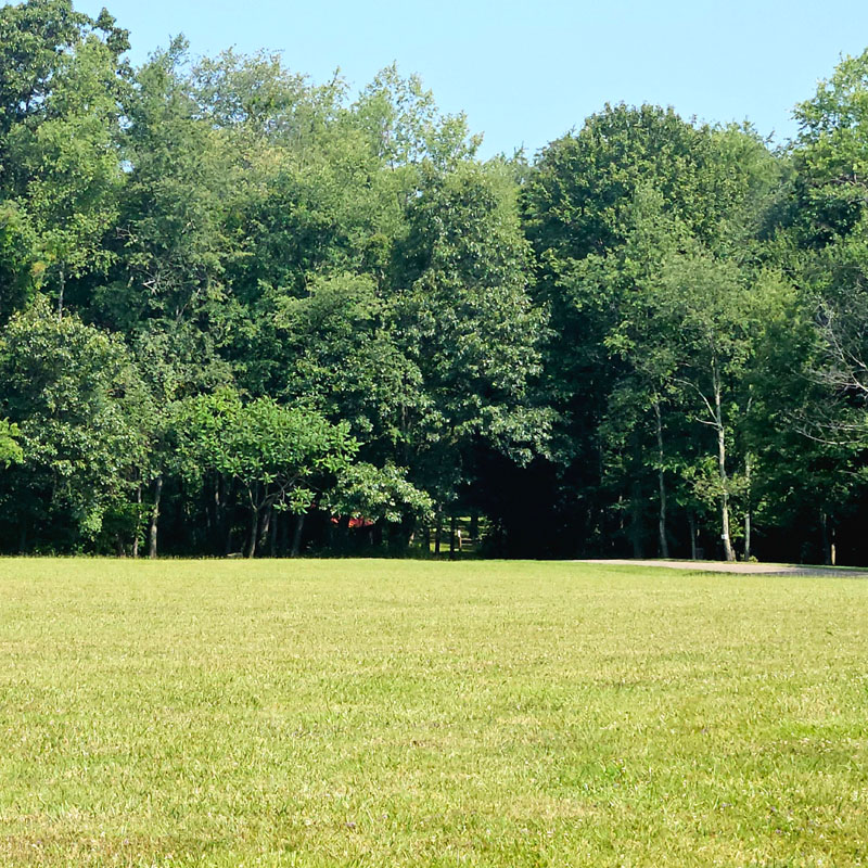 Scenic Vista Park