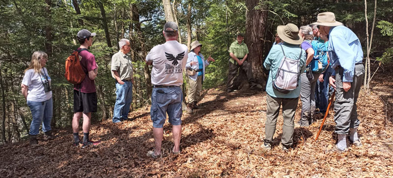 Gallery spring hike 2022 02
