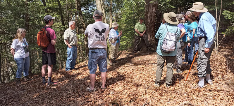 Gallery spring hike 2022 08