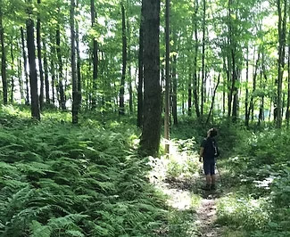 Trails scenic